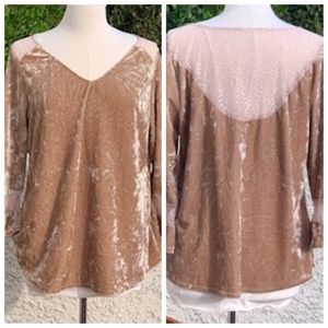 Velvet & Lace Boho Top